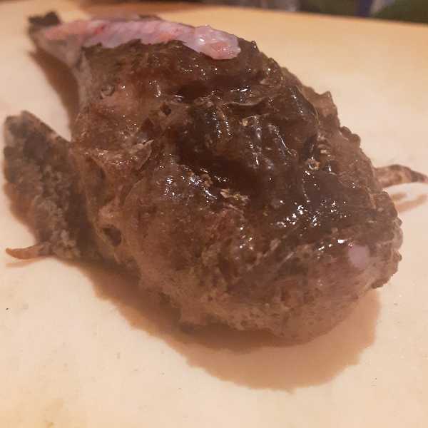 おこぜ