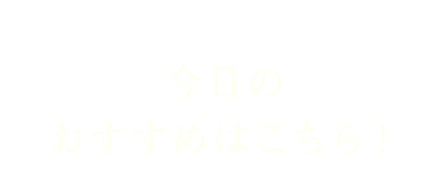 今日のおすすめはこちら！